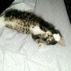 kenyapatricia91